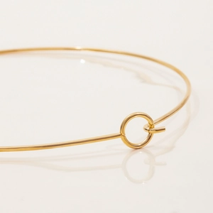 Minimalist 18K gold plated stainless steel choker necklace with a sleek ring hook clasp
