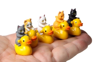 Close-up of five miniature kitten figurines riding yellow rubber ducks on a palm