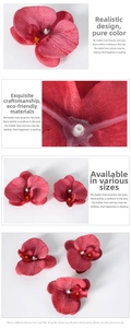 Dettaglio macro di petali di orchidea phalaenopsis in seta con venature realistiche