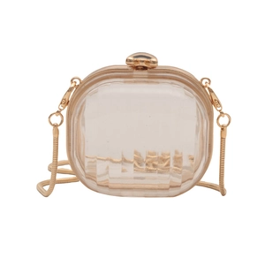 Transparent acrylic mini box bag with gold metal frame and snake chain strap