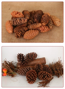 Detail of natural dried pine cones and rustic wood twigs for DIY Christmas decor