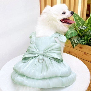 Detail of mint green pet dress with silk texture and bow on a white Pomeranian dog