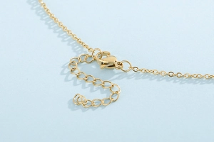 Macro shot of gold stainless steel lobster clasp and adjustable extension chain details