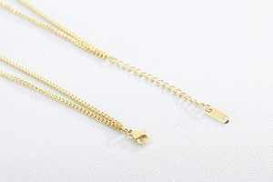 Detail of gold titanium steel double layer necklace with lobster clasp and extender chain