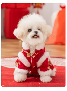 Détail d'un vêtement de Nouvel An chinois pour chien avec broderies d'or et fausse fourrure