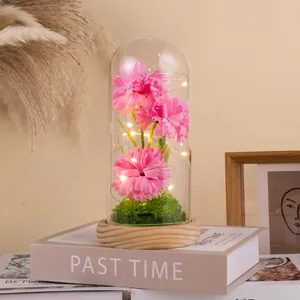 Preserved pink carnations in glass dome with LED lights on a natural wooden base