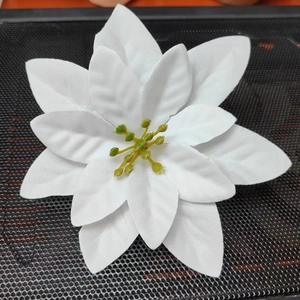 Detailed top view of a white velvet poinsettia flower head with yellow stamens for Christmas
