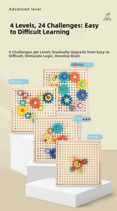 Educational wooden gear puzzle toy with four advanced levels and twenty-four logic challenges