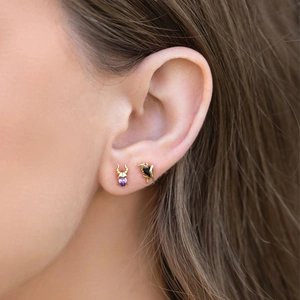 Asymmetric zircon earrings set featuring a golden horn heart and a black raven bird