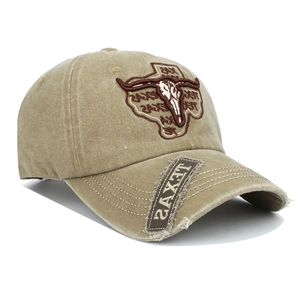 Detail of vintage washed baseball cap featuring bull skull embroidery and Texas patch