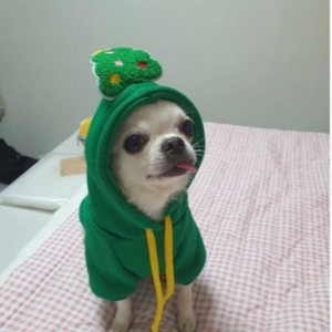 Grüner Haustier-Hoodie mit Weihnachtsbaum-Dekor für kleine Hunde und Katzen im Winter