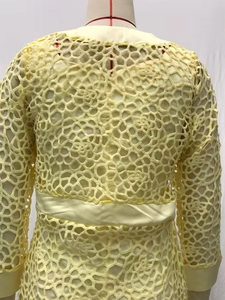 Vue arrière de la robe en dentelle jaune avec broderie florale et coupe cintrée