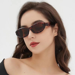 Retro Oval Sunglasses UV400 Protection PC Frame AC Lens Fashion Vintage Streetwear Eyewear For Men Women