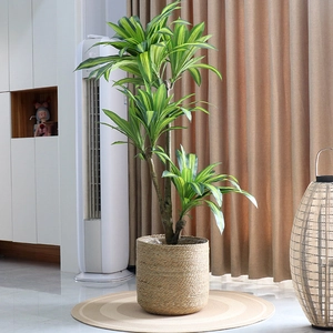 Nordic woven plant basket with large artificial dragon blood tree for home decoration