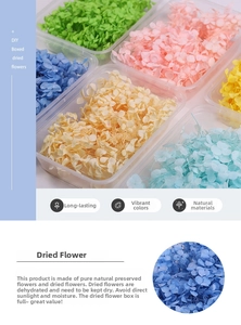 Macro shot of assorted colorful dried hydrangea petals for DIY crafts and art projects