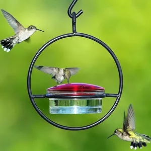 Hanging metal hummingbird feeder with three birds in a green natural garden setting