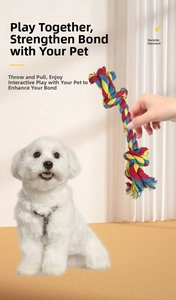 Owner hand holding three-color braided cotton dog rope toy for interactive play