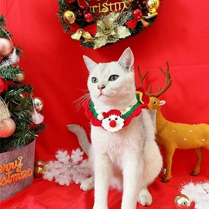 Detail of hand-knitted Santa collar on a white cat with festive Christmas background