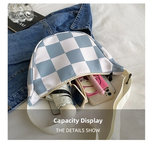 Detail showing the large capacity of checkerboard canvas fanny pack with daily essentials