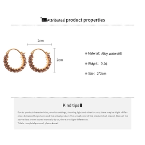 Detailansicht runder Strass-Ohrringe mit 2x2cm Maßen und Legierungsmaterial-Info