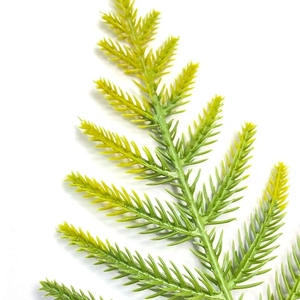Macro view showing natural green-yellow gradient texture of artificial pine needles
