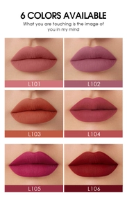 Set da 6 lucidalabbra opachi vellutati con prove colore da L101 a L106 sulle labbra