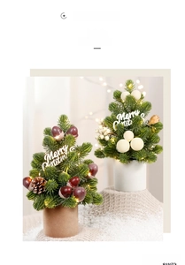 Mini PE Christmas trees with LED lights, pine cones and berries in minimalist pots