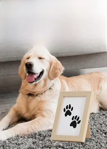 Detail of wooden pet paw print memorial frame with a Golden Retriever in background