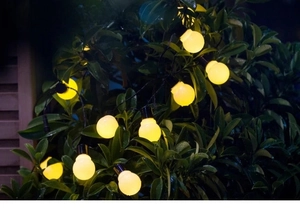 Waterproof solar LED globe string lights glowing with warm light in a garden setting