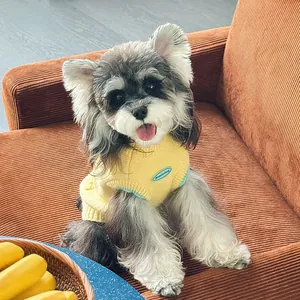 Detail of yellow knit dog sweater with blue Exploring embroidery and ribbed neckline