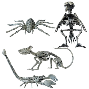 Detailed set of realistic animal skeleton props including spider, bird, rat and scorpion
