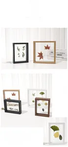 Detail of wooden shadow boxes with botanical leaf specimens in multiple frame finishes