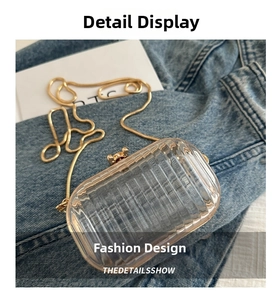 Detail of transparent acrylic box bag with golden snake chain and metal clasp closure