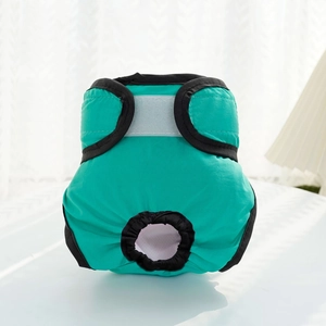 Vue détaillée de la culotte physiologique pour chienne vert menthe avec velcro et trou de queue