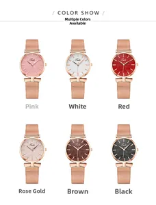 Six couleurs de montres à quartz Tadi pour femmes avec bracelet en maille et cadran