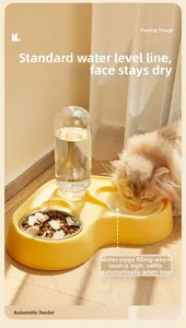 Detail showing the automatic water refill mechanism and cat feeding bowl in sunlight