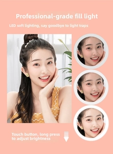 Detail showing LED makeup mirror with stepless dimming control and adjustable brightness