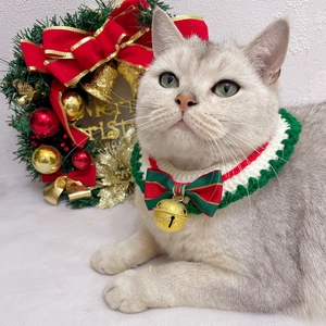 Detail of hand-knitted Christmas pet collar with gold bell and red-green striped bow