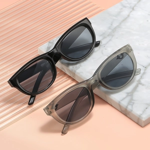 Retro cat-eye sunglasses for women with black and transparent grey frames in high-fashion style