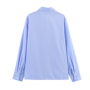 Vista posteriore di una camicia a maniche lunghe a righe verticali azzurre con colletto