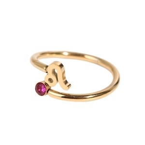 Detail of gold Leo zodiac ring with red gemstone and polished stainless steel finish