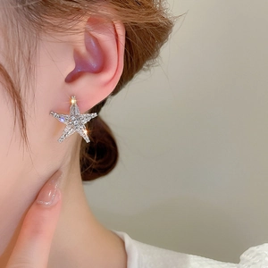 Close-up of elegant star stud earrings with silver plating and sparkling crystals