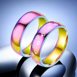 Detailansicht der regenbogenfarbenen Titanstahlringe mit niedlichen Katzenpfoten-Gravuren.