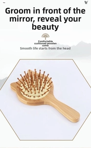 Detailed view of cat-shaped bamboo hair brush with massage bristles and air cushion