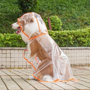 Detail view of transparent dog raincoat with orange trim on a golden retriever outdoors