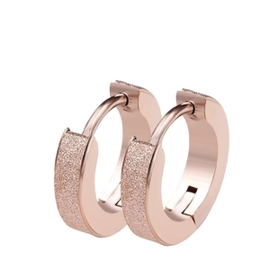 Minimalist rose gold titanium hoop earrings with frosted finish and hinge clasp