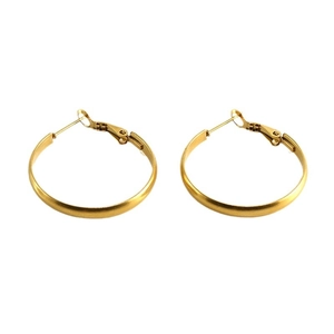 Elegant gold stainless steel hoop earrings with a polished finish and lever back closure