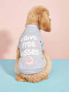 Grey knit dog T-shirt with I Give FREE Kisses print shown on a pet from behind