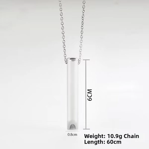 Pendentif sifflet en acier inoxydable avec chaîne de 60cm et détails de dimensions précis