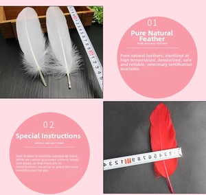 Detail of natural 15-20cm goose feathers in red and white for DIY craft decorations